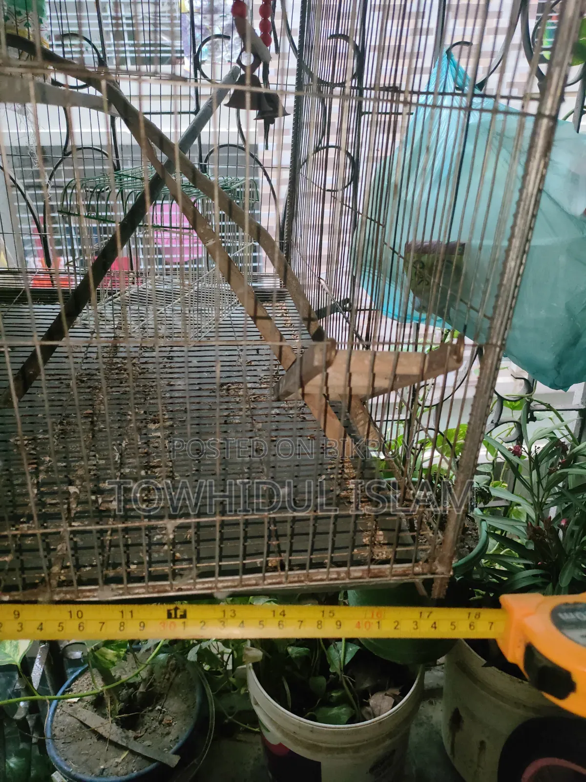 18 by 24 Inch Cage and Box with Specified Measurements Including Swing and Ladder