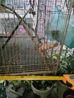 18 by 24 Inch Cage and Box with Specified Measurements Including Swing and Ladder