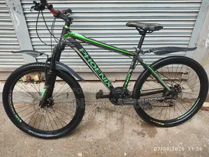 Phoenix Argus Bicycle