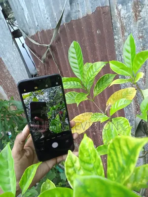 Itel A50 128 GB Black