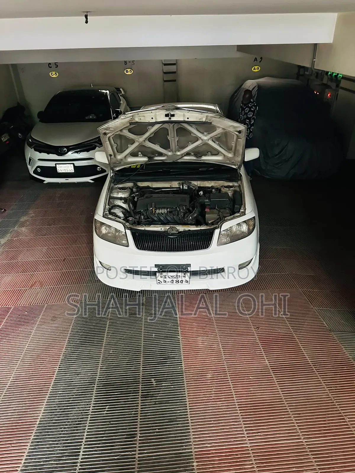 Toyota Corolla 2004 Pearl