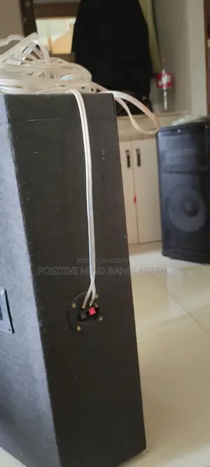 Professional PA Sound Box & Power Amplifier Set