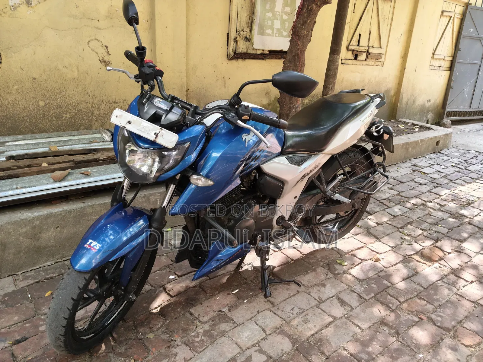 টিভিএস আপাচে ১৬০ ৪ভি ২০১৯ সবুজ