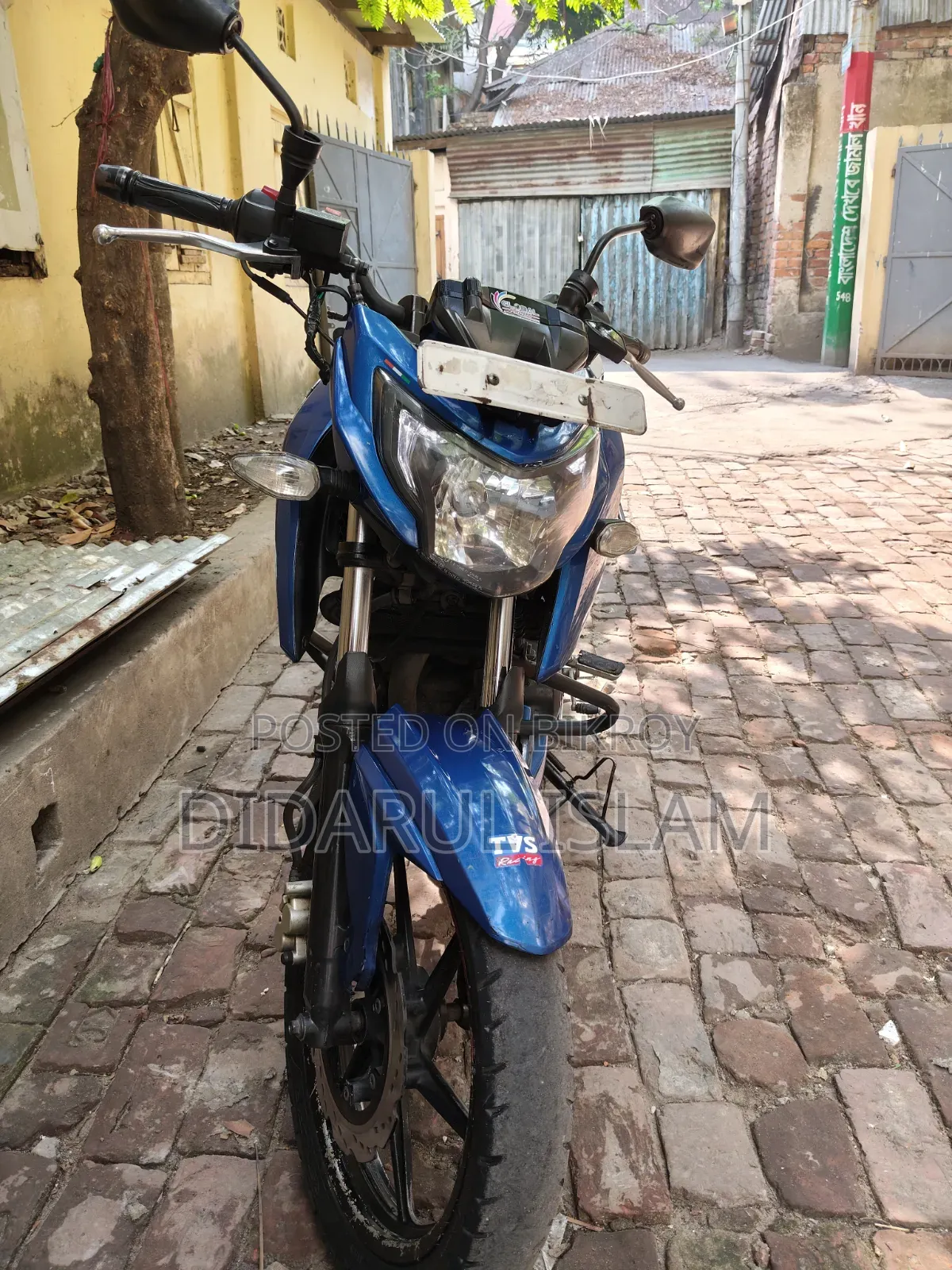 টিভিএস আপাচে ১৬০ ৪ভি ২০১৯ সবুজ