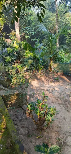 2 Bedroom House in Near Lawdia Cemetery, Jhenaidah Sadar for Sale