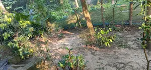 2 Bedroom House in Near Lawdia Cemetery, Jhenaidah Sadar for Sale