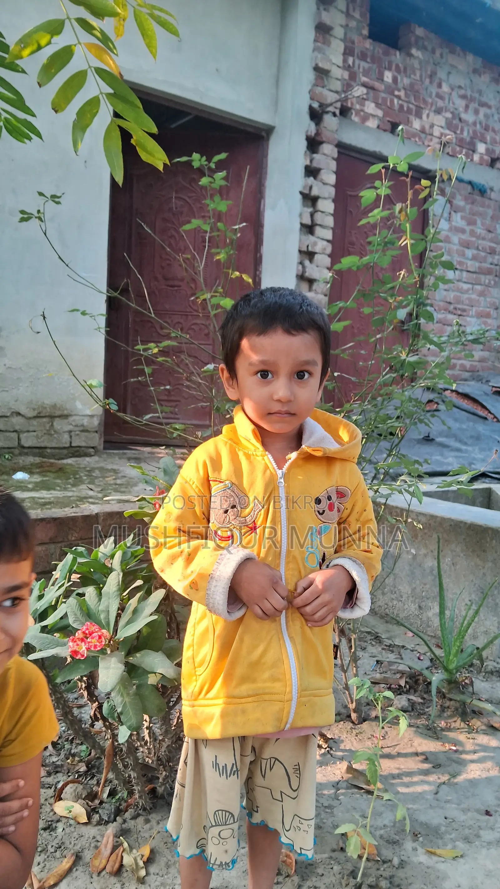 2 Bedroom House in Near Lawdia Cemetery, Jhenaidah Sadar for Sale