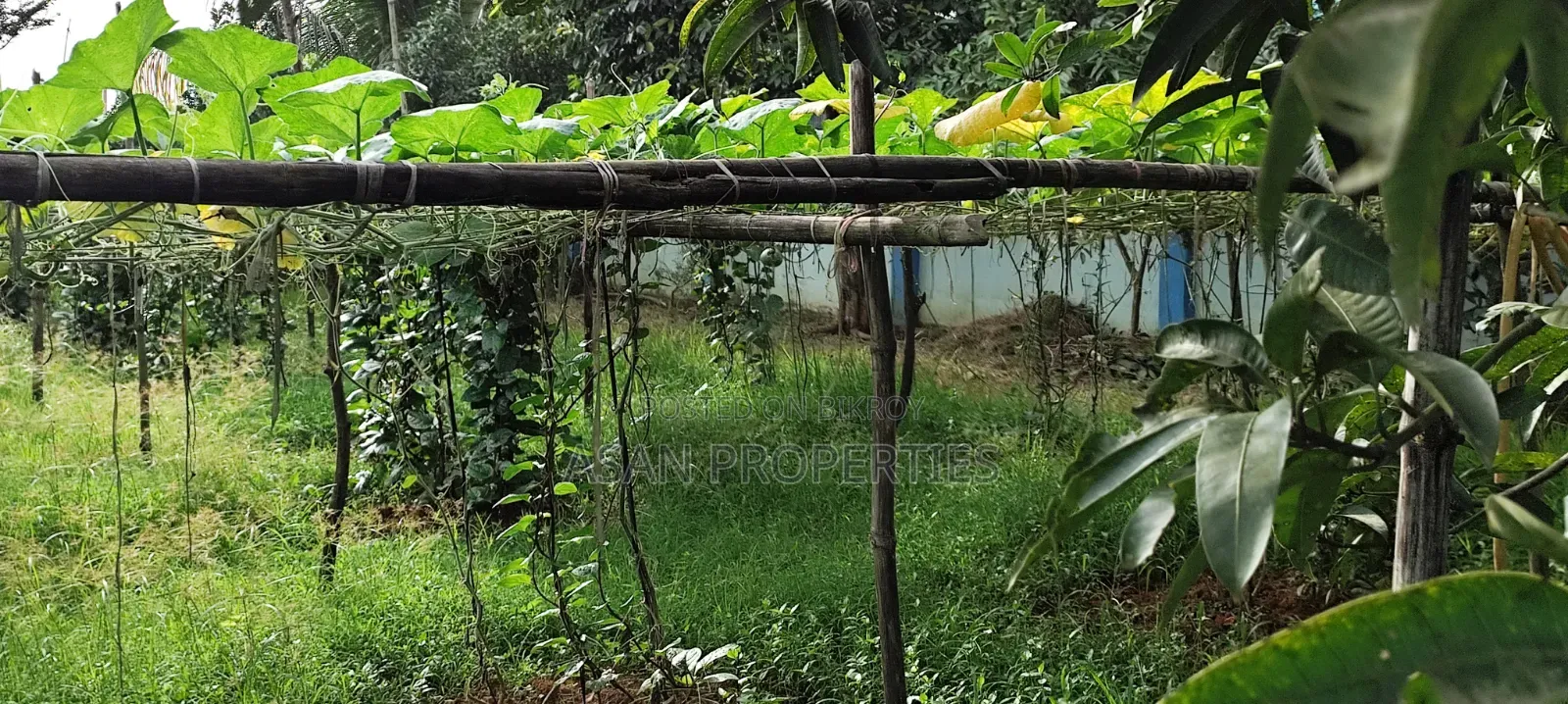 Rajuk Purbachal Sector 8 7.5 Katha Land for Sale