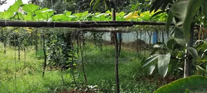 Rajuk Purbachal Sector-8 7.5 Katha Land for Sale
