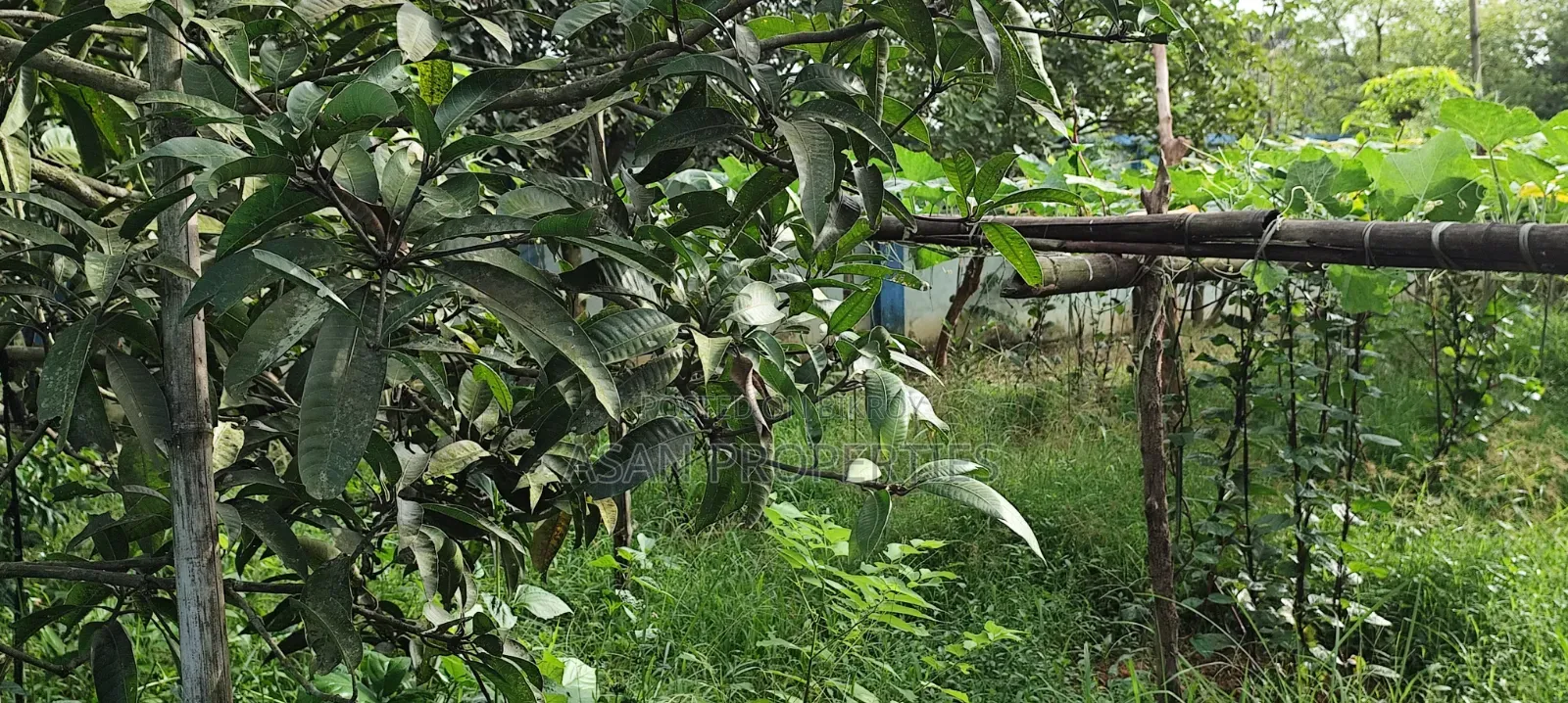 Rajuk Purbachal Sector 8 7.5 Katha Land for Sale