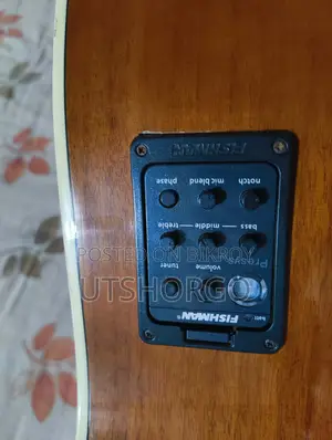 আইবেনেজ গিটার