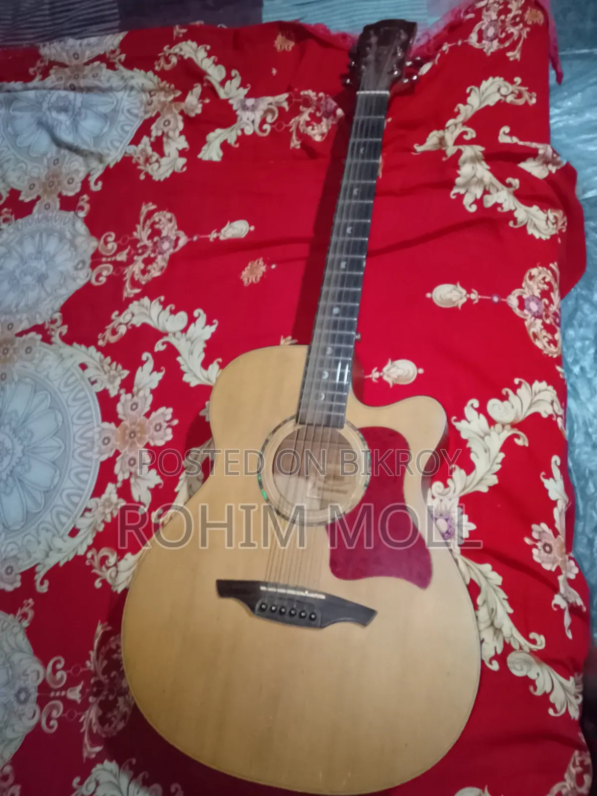 Giuliani GAG-40SS EQ Semi Acoustic Guitar