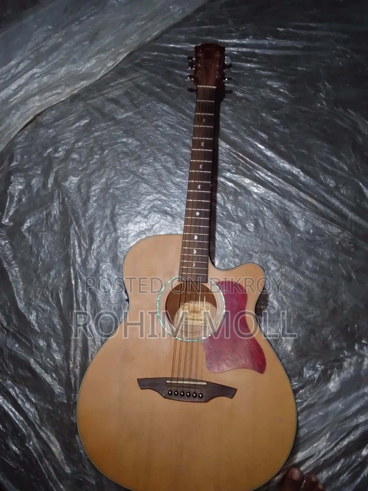Giuliani GAG-40SS EQ Semi Acoustic Guitar