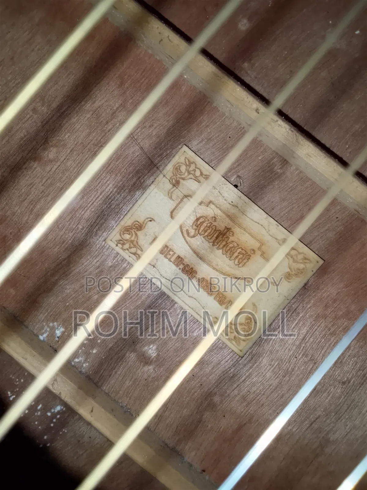 Giuliani GAG-40SS EQ Semi Acoustic Guitar