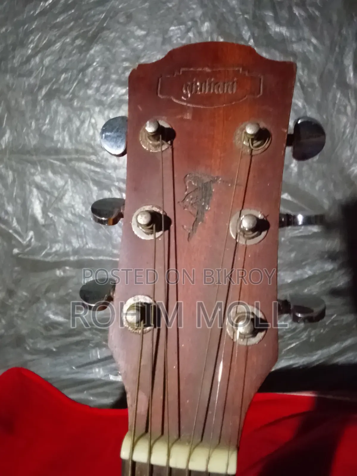 Giuliani GAG-40SS EQ Semi Acoustic Guitar