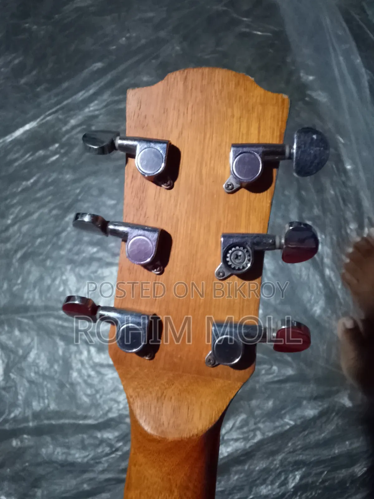 Giuliani GAG-40SS EQ Semi Acoustic Guitar