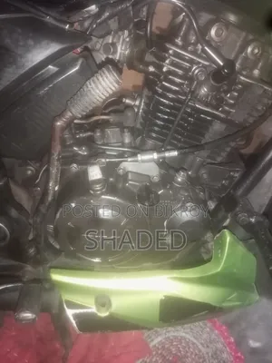 TVS Apache RTR 160 2V 2017 Green