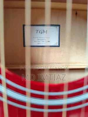 TGM Original Guitar