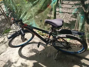 Non-gear aluminum body bicycle.