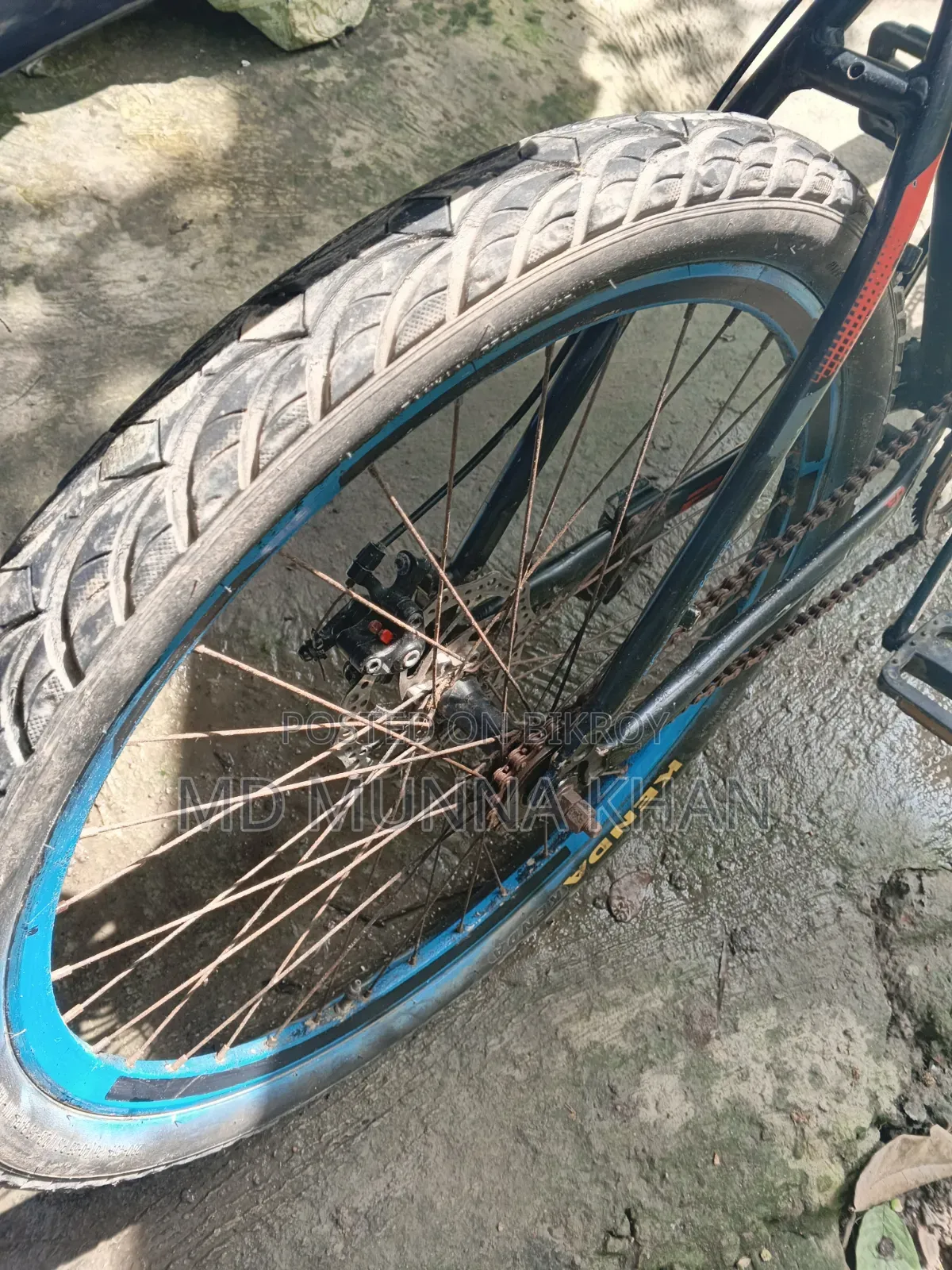 Non-gear aluminum body bicycle.