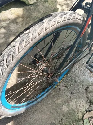 Non-gear aluminum body bicycle.