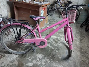 Ladies Cycle