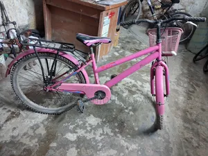 Ladies Cycle