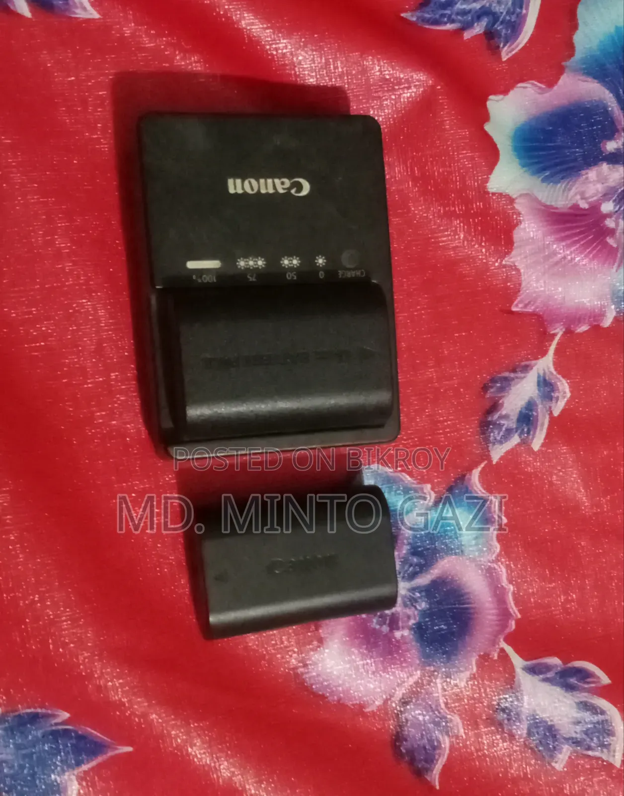 ক্যানন ৬ডি ২৪-১০৫ লেন্স