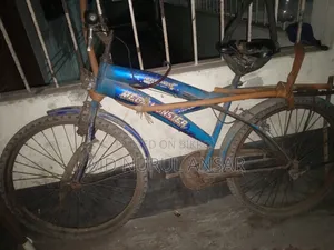 An old bicycle at a low price