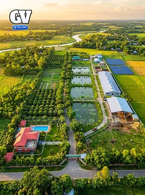 বাড়ি করার মত সম্পূর্ণ রেডি ১০ শতক জমি