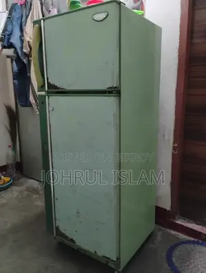 Singer Frost Fridge