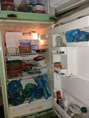 Singer Frost Fridge