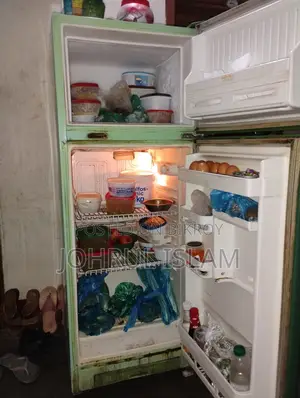 Singer Frost Fridge