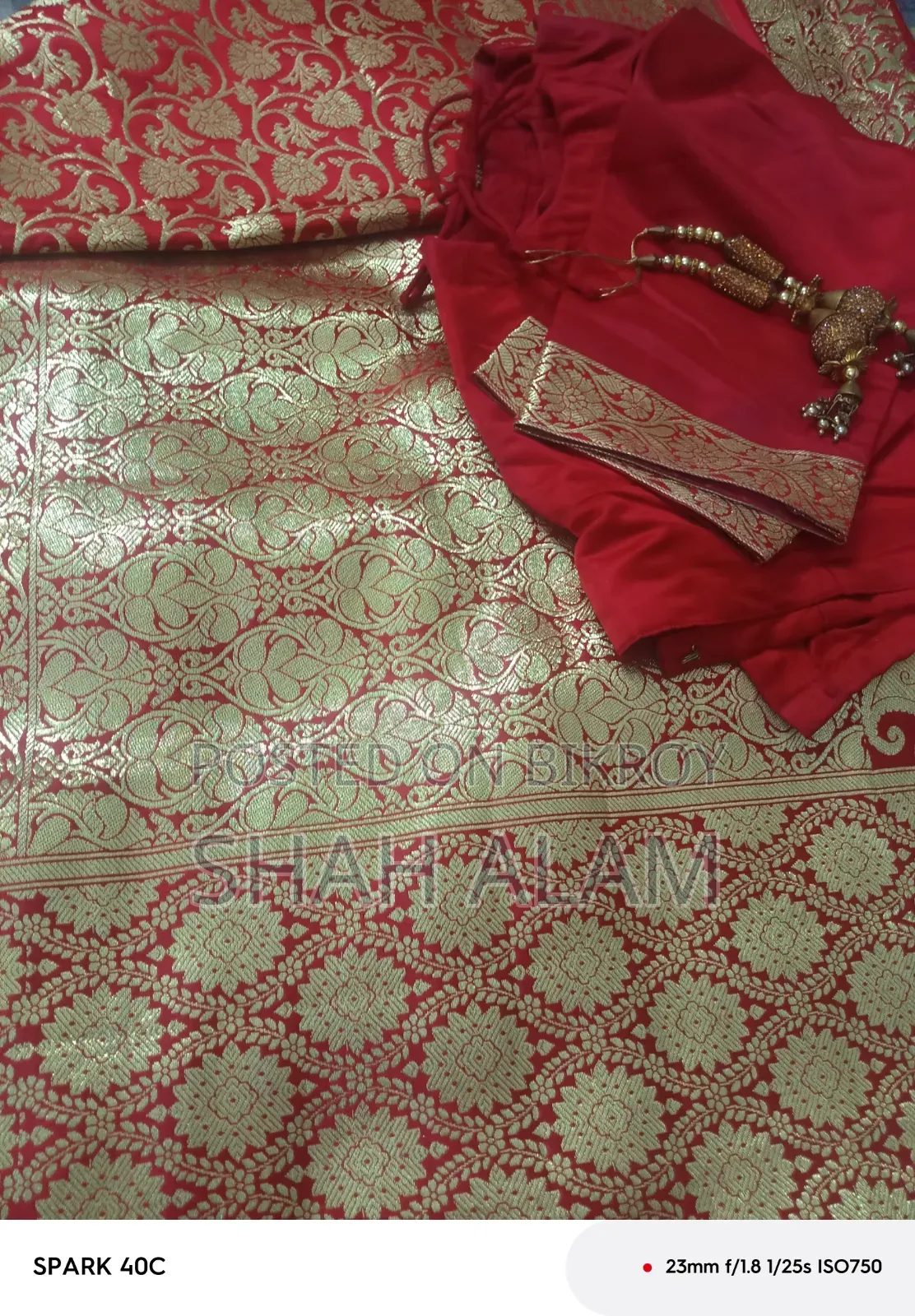 Bridal Banarasi Saree