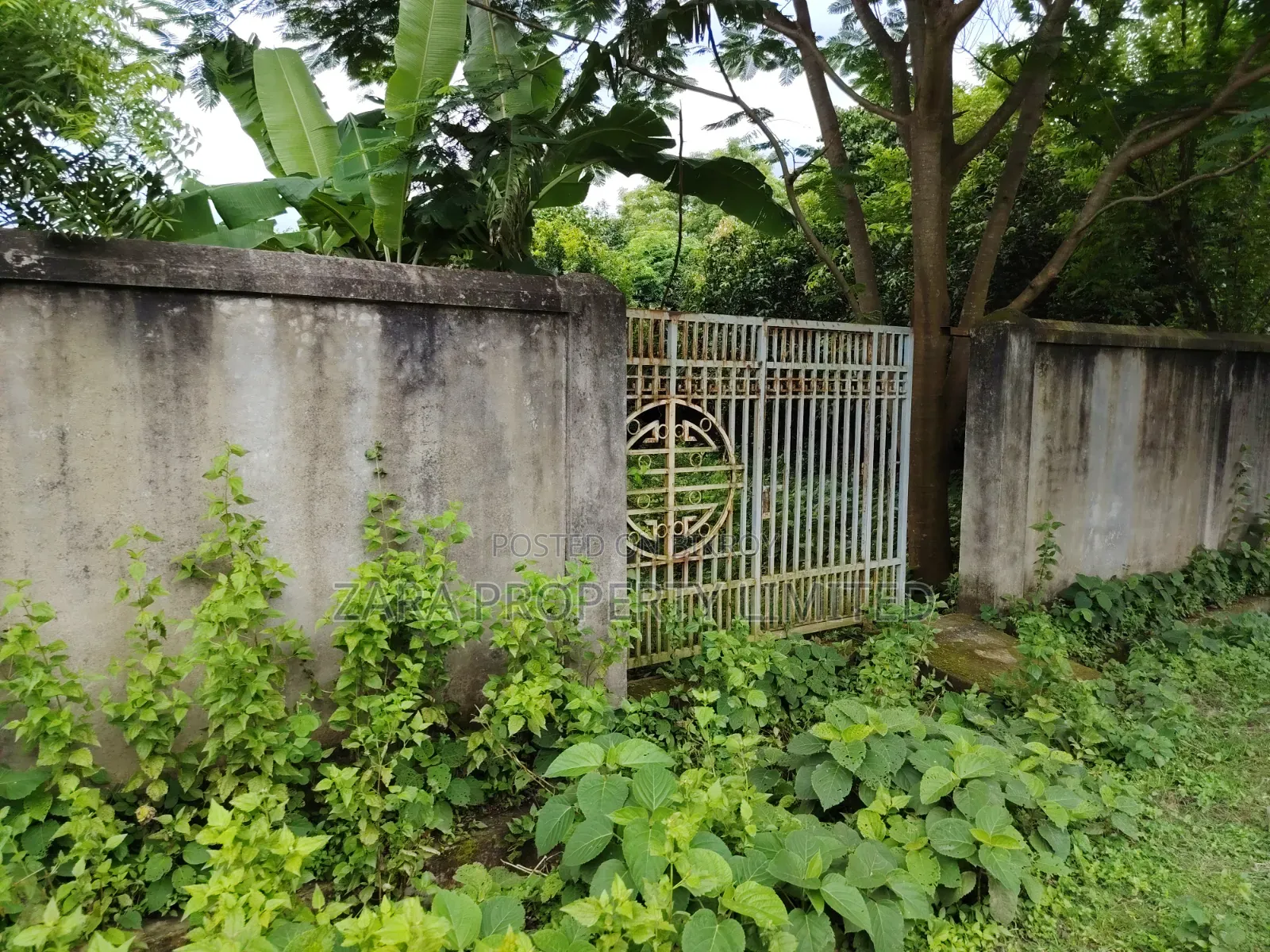 3 katha plot for sale on 54 feet road