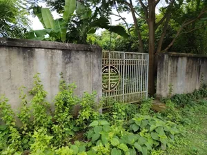3 katha plot for sale on 54 feet road