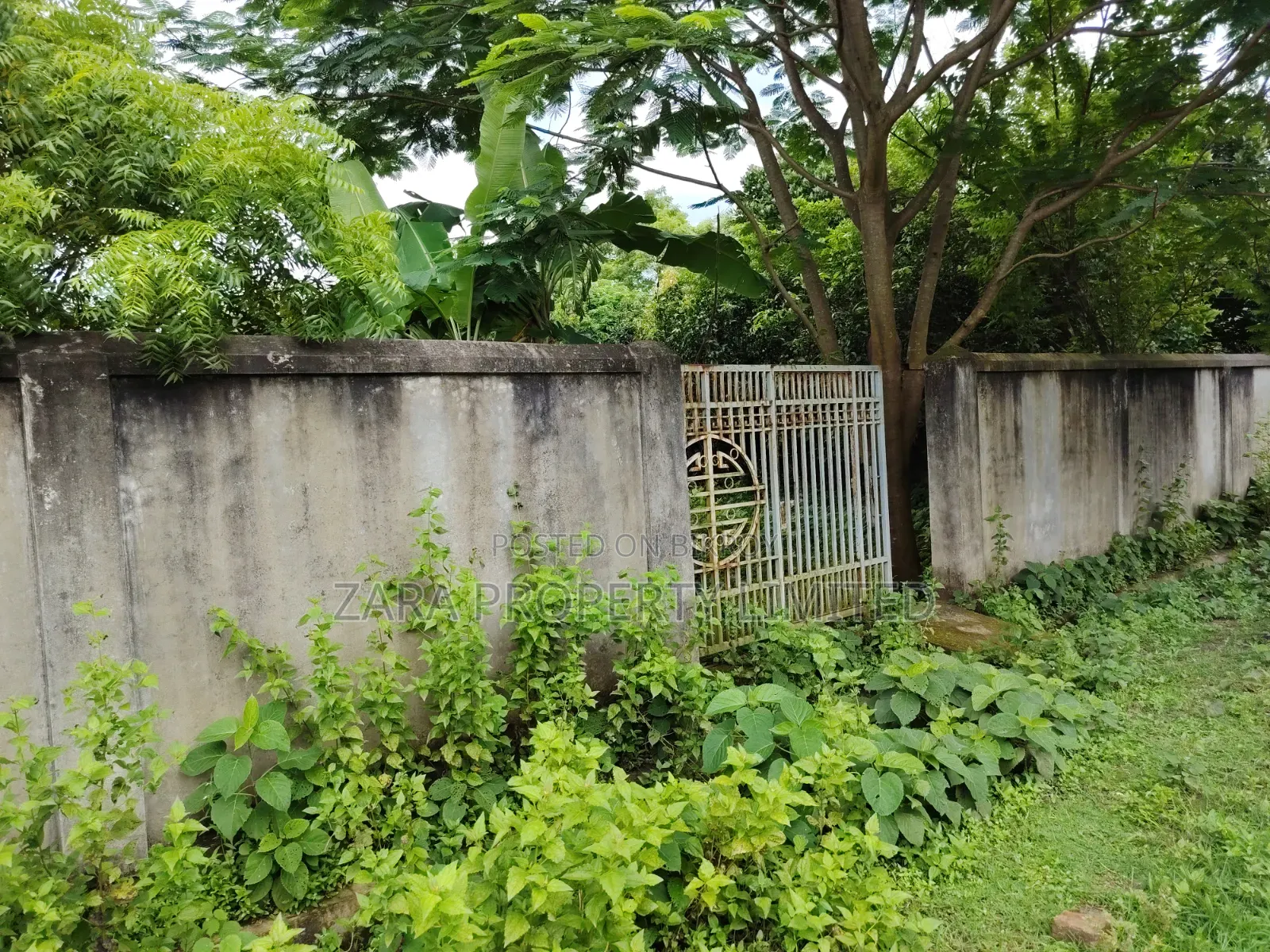 3 katha plot for sale on 54 feet road
