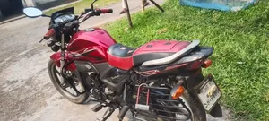 Roadmaster Delight 2019