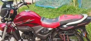 Roadmaster Delight 2019