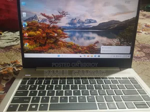 Laptop HP ProBook 445 G7 16GB AMD Ryzen 5 SSD 512GB