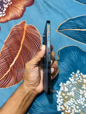 অ্যাপল আইফোন ১২ প্রো ম্যাক্স ১২৮ জিবি ব্লু