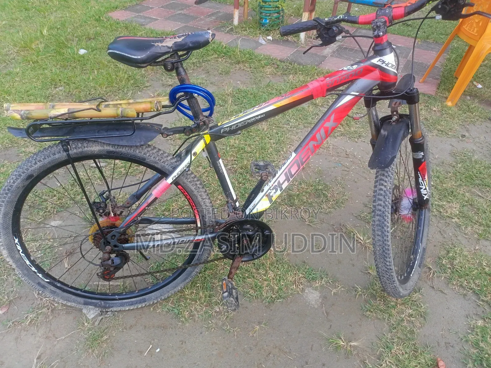 Phoenix Bicycle