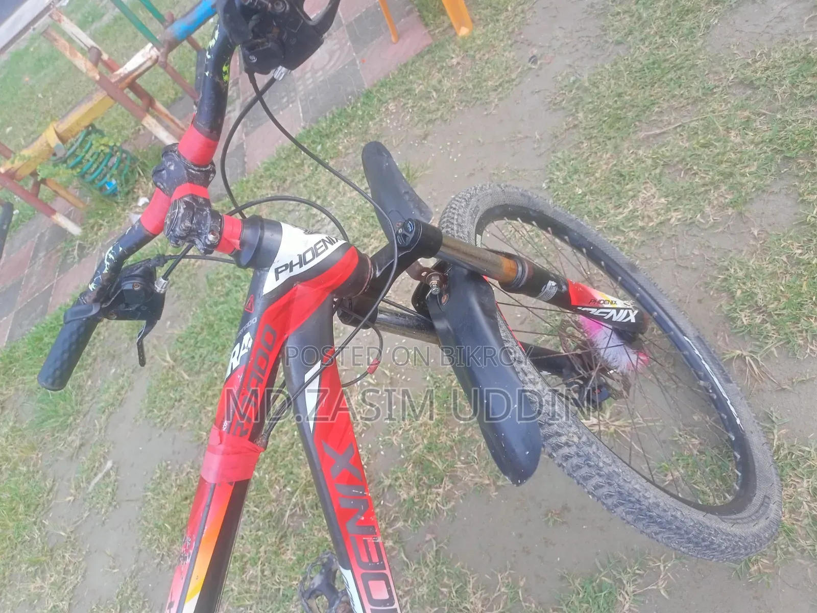 Phoenix Bicycle