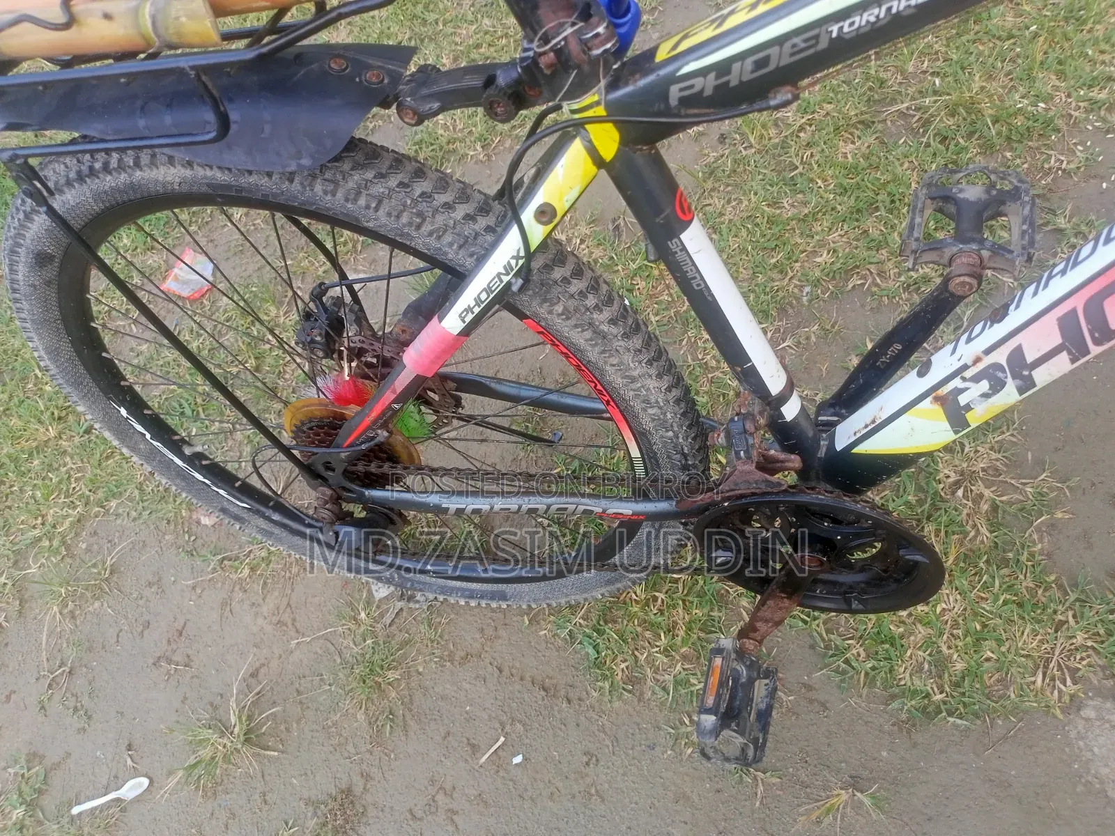 Phoenix Bicycle