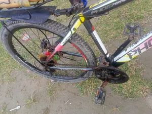 Phoenix Bicycle