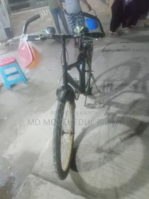 I will sell this bicycle.
