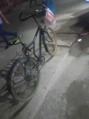 I will sell this bicycle.
