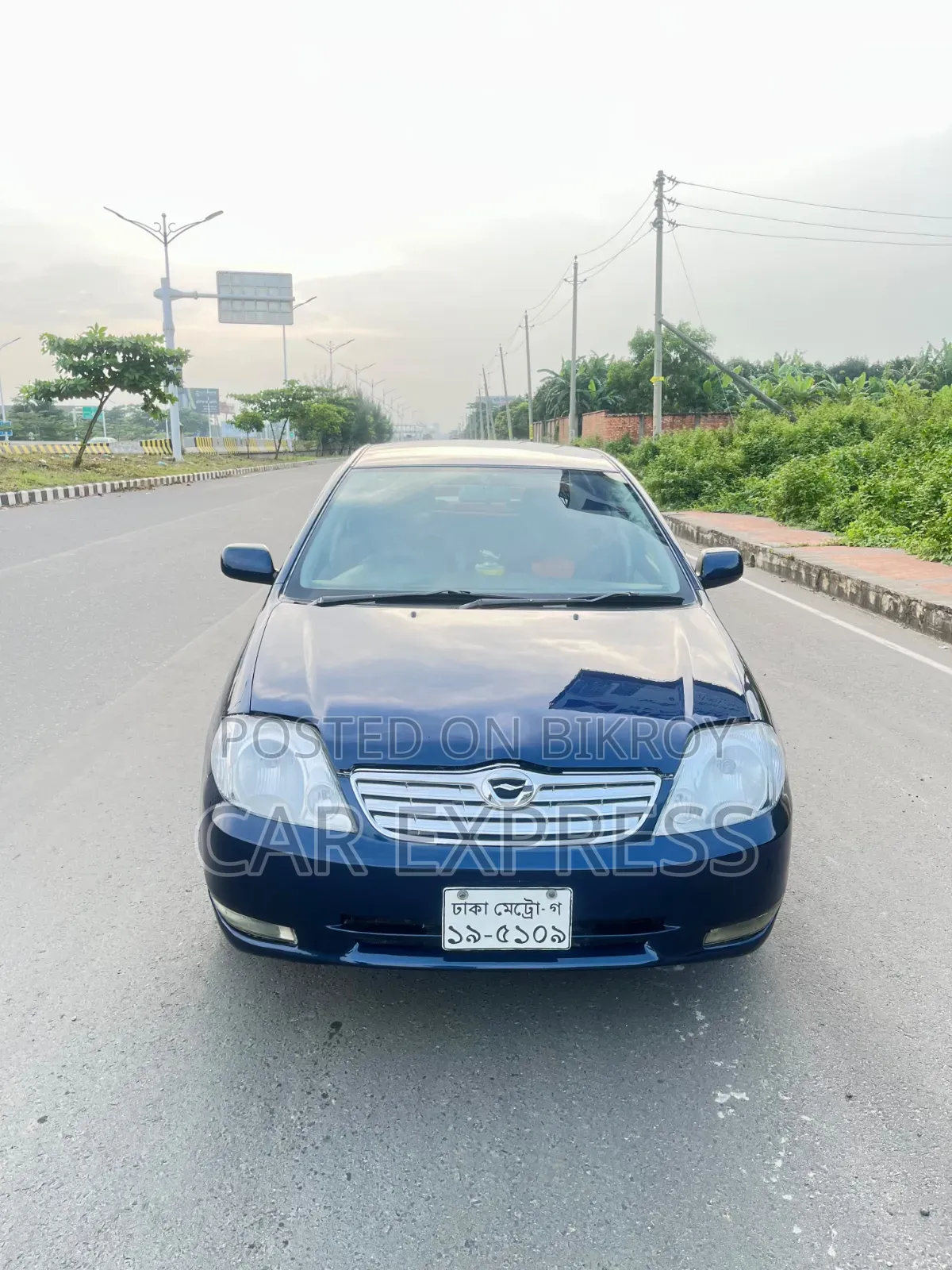Toyota Corolla 2002 Blue