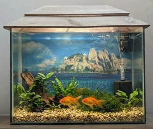 Aquarium Fish- 18/14 Size.