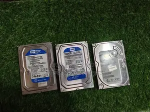 ডব্লিউডি হার্ড ডিস্ক ৫০০ জিবি ১০০% ওকে